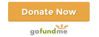 GoFundMe Campaign
